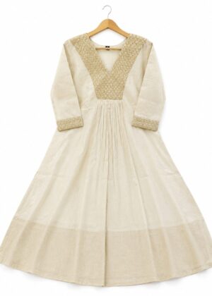 Elegant Tissue Umbrella Kurti-HIFI453
